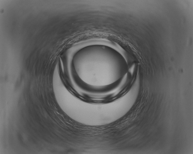 X0000081441492200701121152