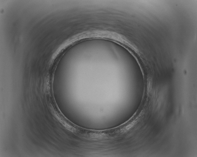 X0000081441498200701121152
