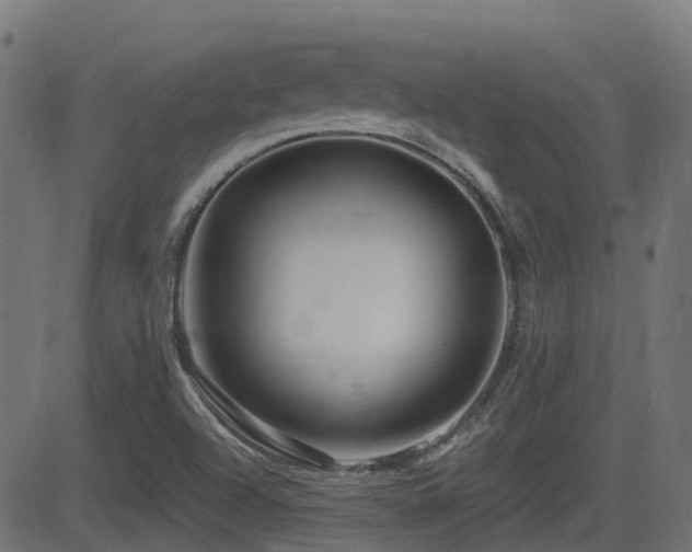 X0000081441504200701121153