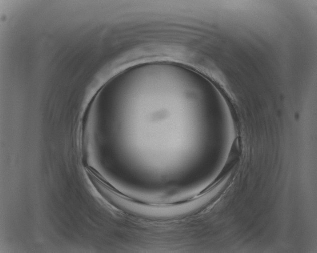 X0000081441516200701121153