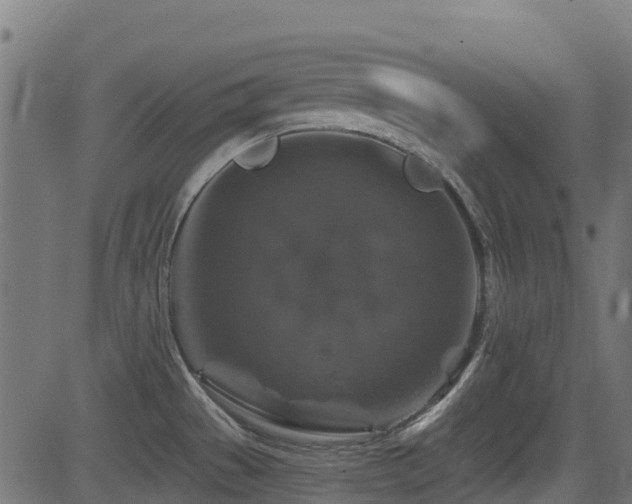 X0000081441529200701121153