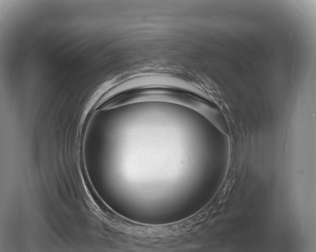 X0000081440003200701191700