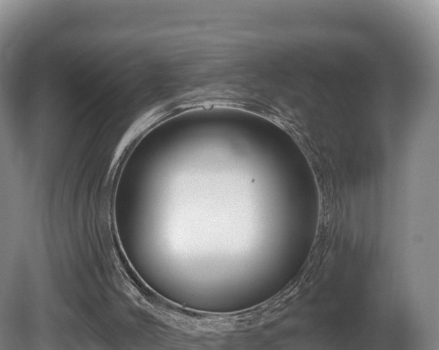X0000081440004200701191700