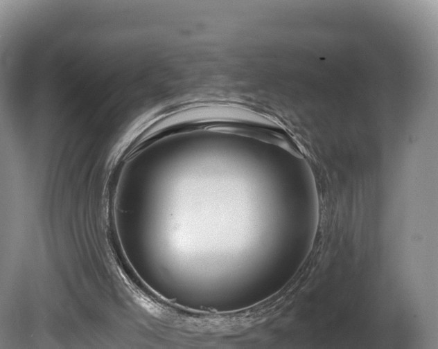 X0000081440005200701191700