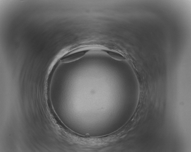 X0000081440006200701191700