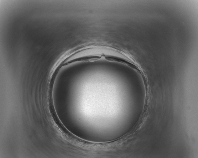X0000081440007200701191700