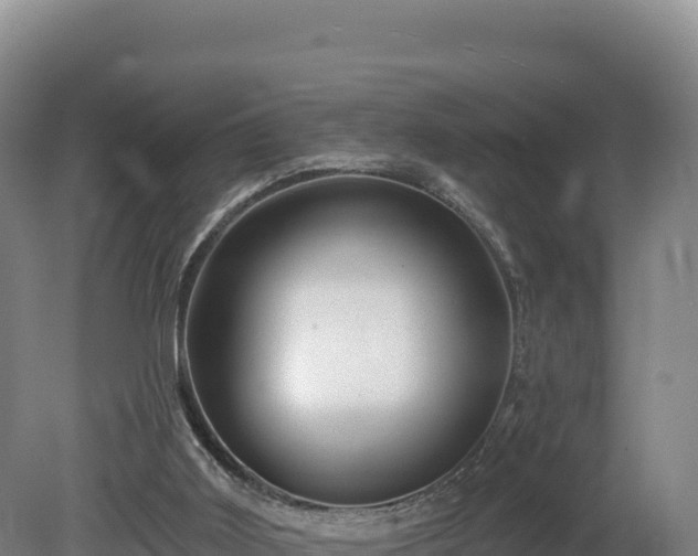 X0000081440011200701191700