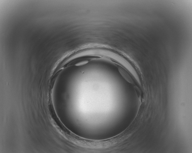 X0000081440015200701191700