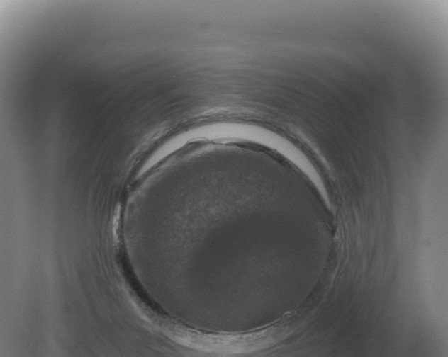 X0000081440023200701191659