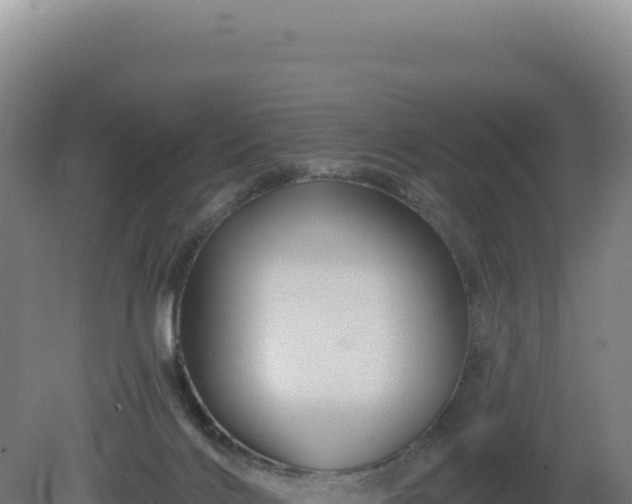 X0000081440028200701191659