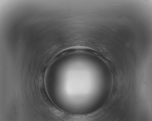 X0000081440037200701191659
