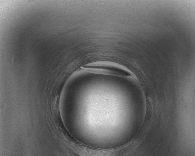X0000081440044200701191659