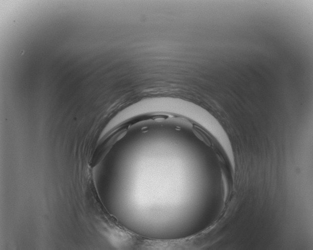 X0000081440045200701191659