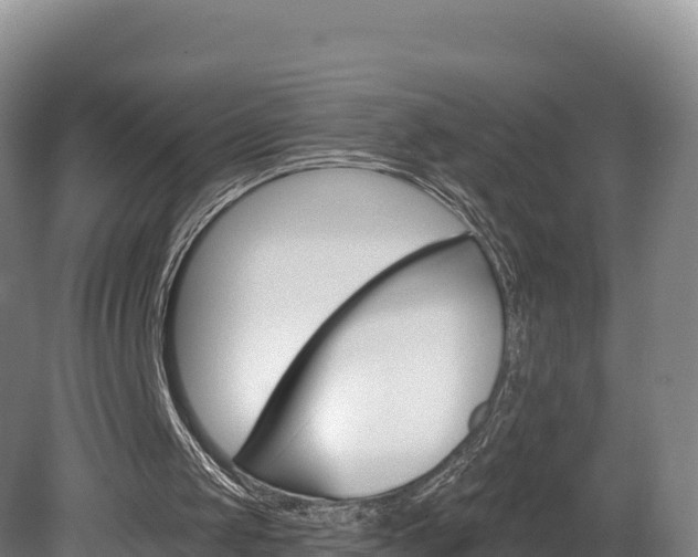 X0000081440049200701191658
