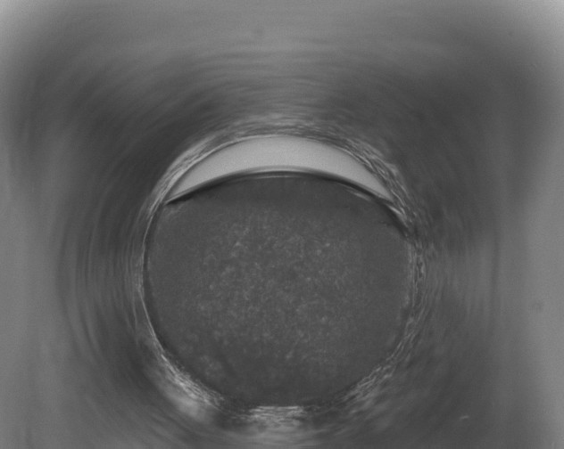 X0000081440051200701191658