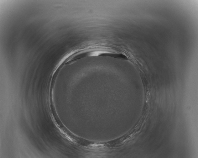 X0000081440052200701191658