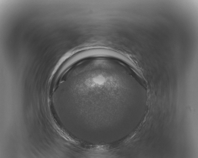 X0000081440056200701191658