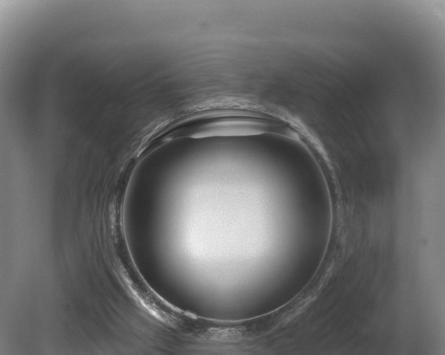 X0000081440057200701191658