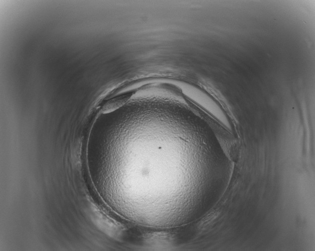 X0000081440058200701191658