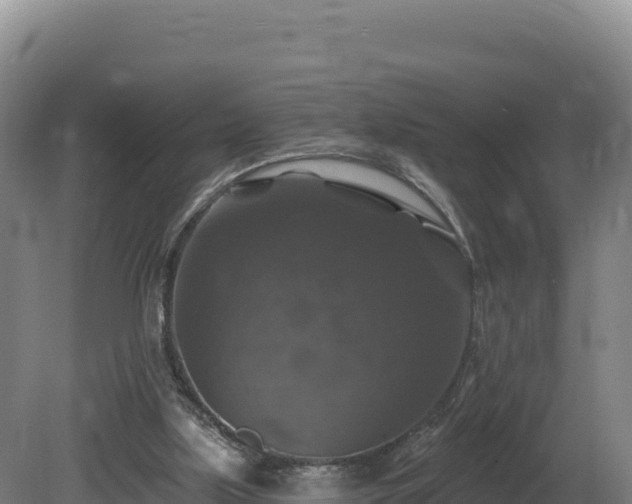 X0000081440059200701191658