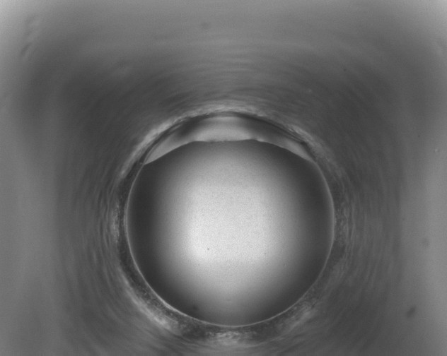 X0000081440064200701191658