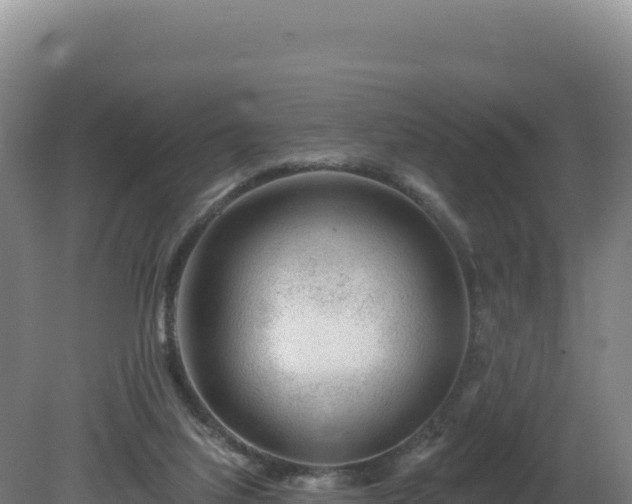 X0000081440068200701191658