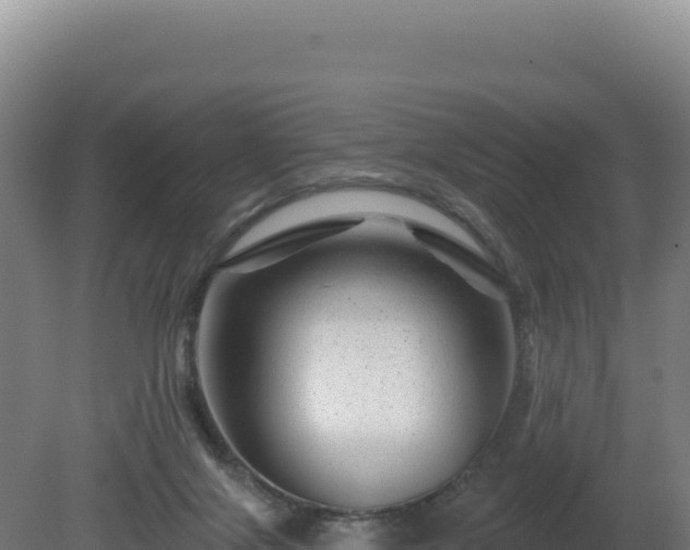 X0000081440071200701191659