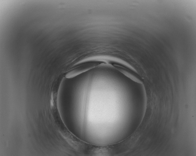 X0000081440075200701191659
