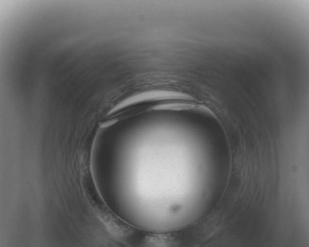 X0000081440079200701191659