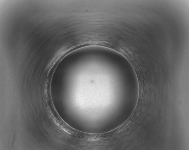 X0000081440098200701191658