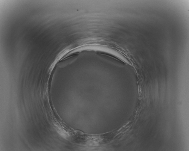 X0000081440099200701191658