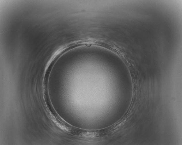X0000081440102200701191658