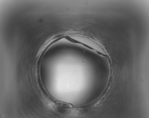 X0000081440103200701191658