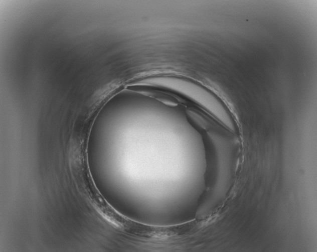 X0000081440105200701191658