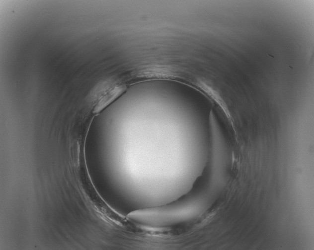 X0000081440109200701191658
