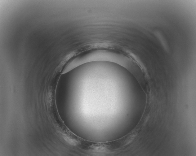 X0000081440113200701191658