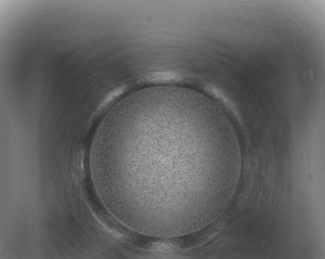 X0000081440115200701191658