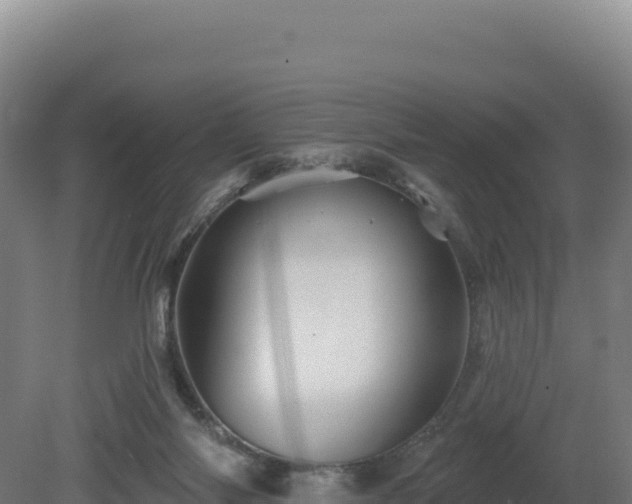 X0000081440118200701191658