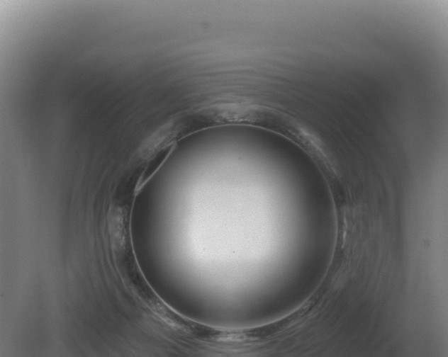 X0000081440121200701191658