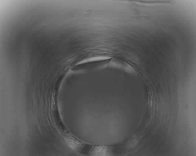 X0000081440127200701191658