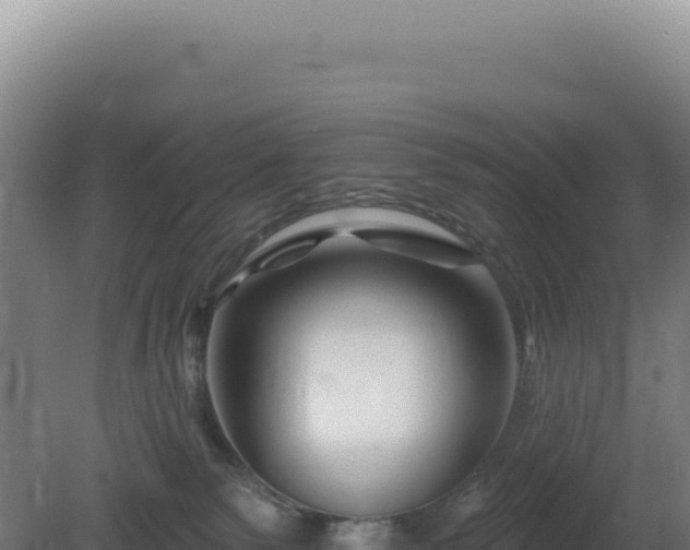 X0000081440135200701191658