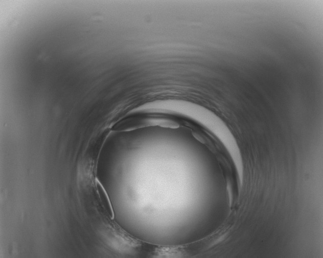 X0000081440141200701191657