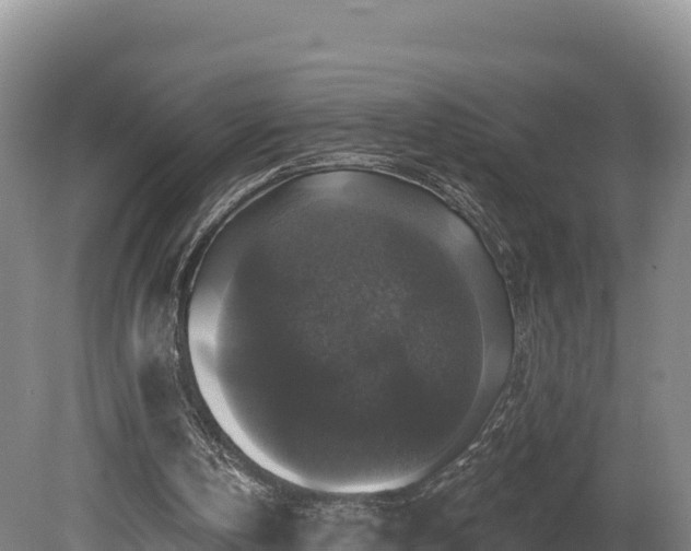 X0000081440146200701191657