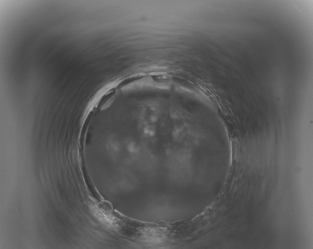 X0000081440147200701191657