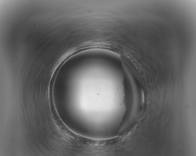X0000081440148200701191657