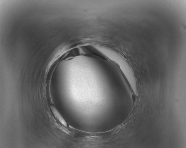 X0000081440150200701191657