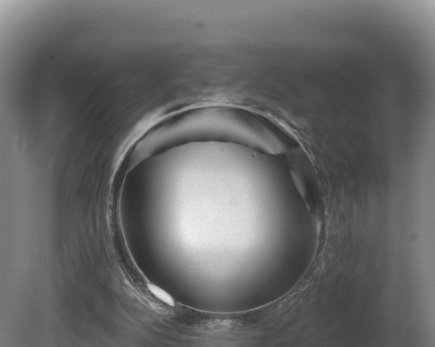 X0000081440152200701191657