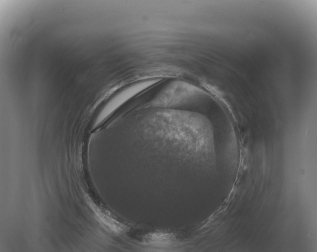 X0000081440154200701191657