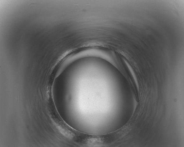 X0000081440160200701191657