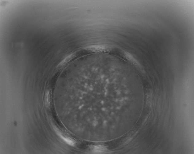 X0000081440165200701191657